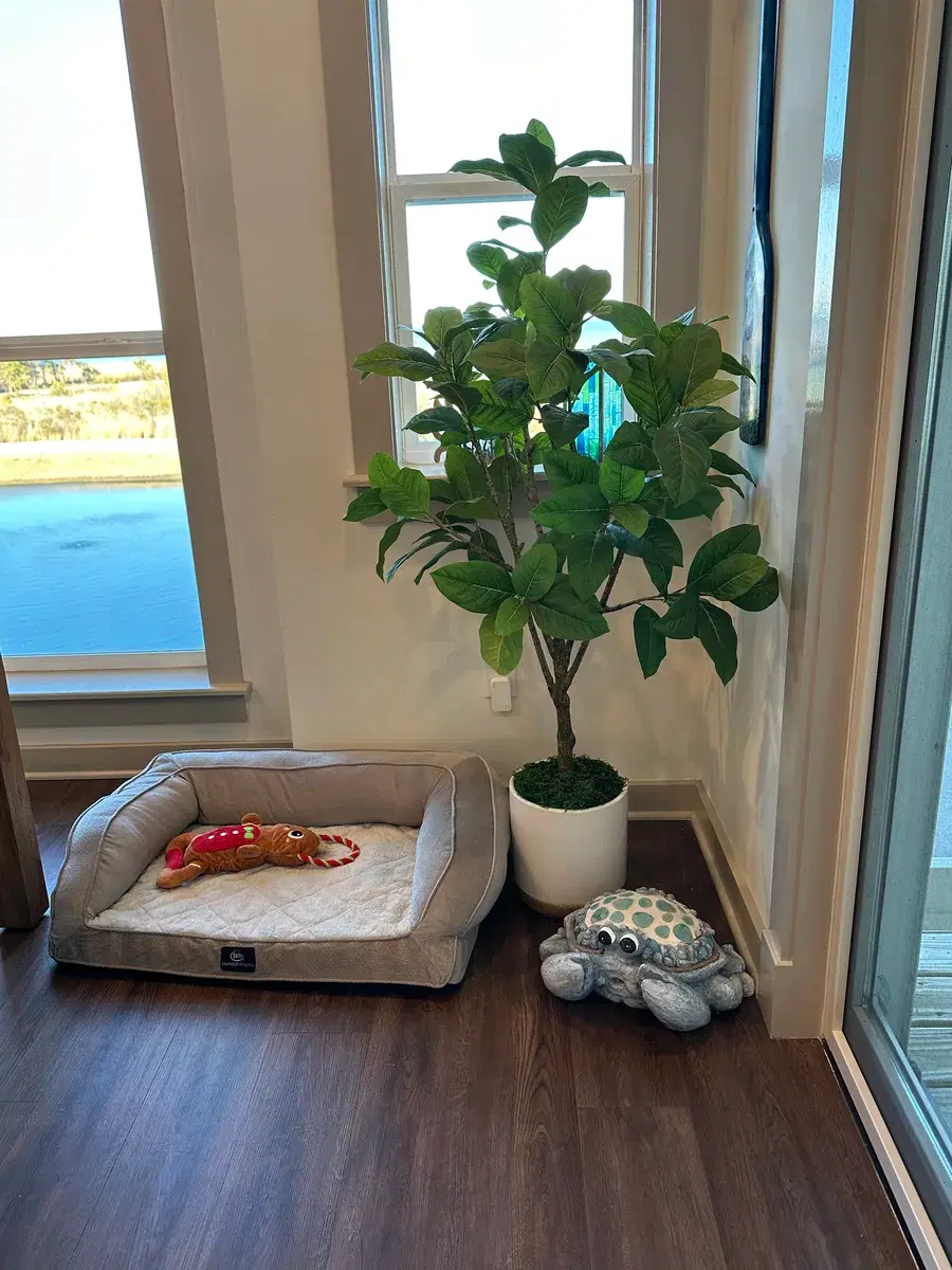 Dog crate with comfortable bedding and beach-themed art above
