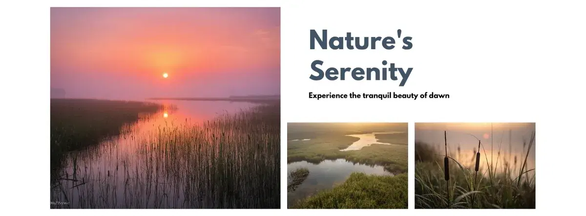 Duck Hunting on Currituck Sound — One of America's Best