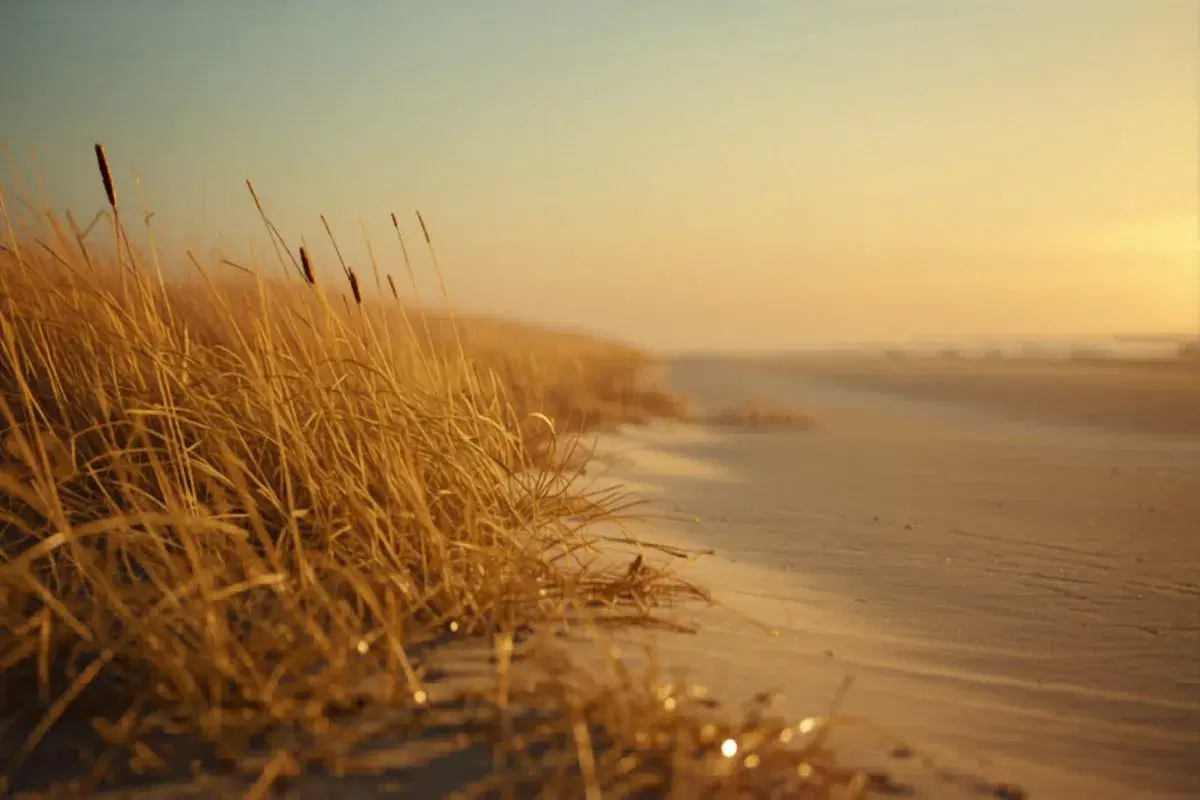 The Outer Banks in Fall: Why It's the Best-Kept Secret on the East Coast