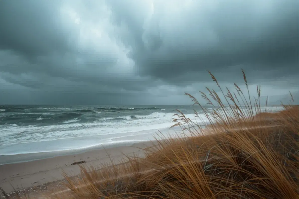 The Outer Banks in Winter: What's Open and What to Do